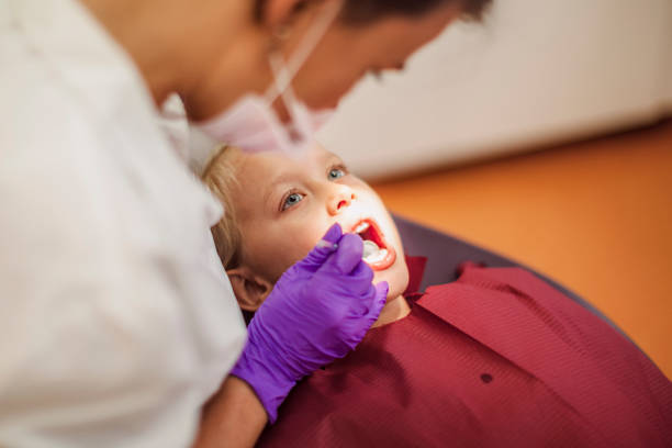 Best Broken or Chipped Tooth Repair in Trexlertown, PA
